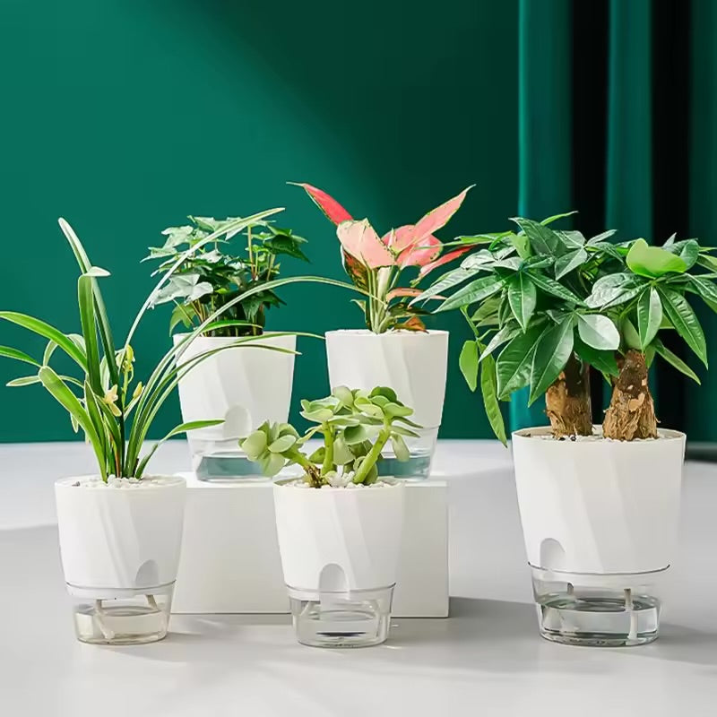 Self-Watering Plant Pot — Lazy Hydroponic Planter