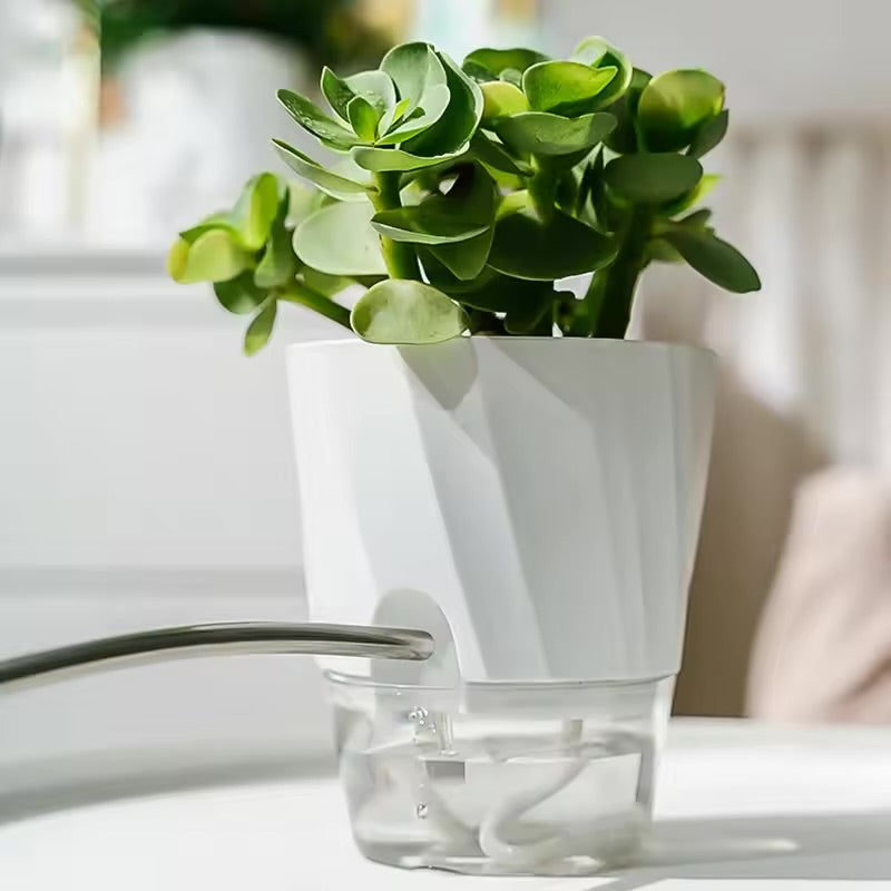 Self-Watering Plant Pot — Lazy Hydroponic Planter
